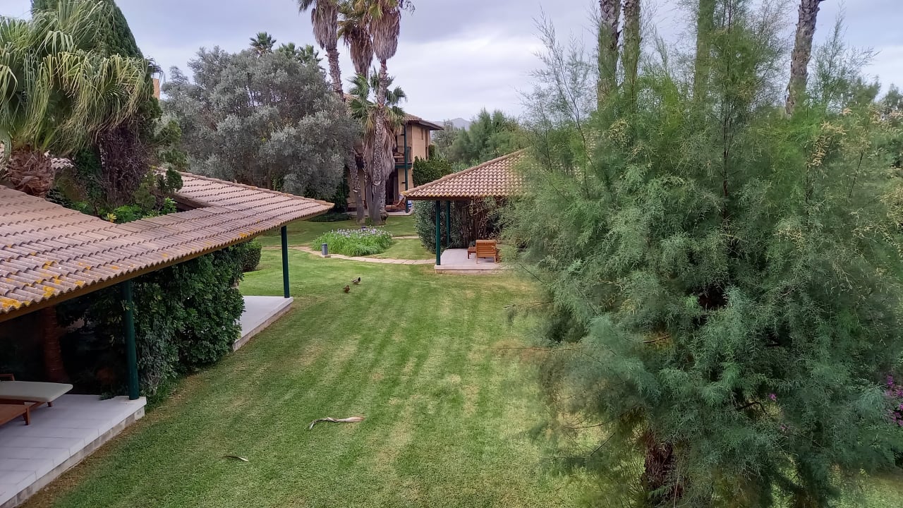Gartenanlage PortBlue Club Pollentia Resort & Spa