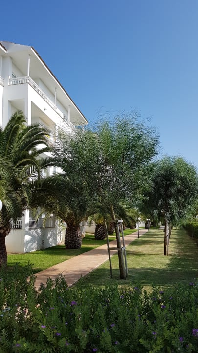 Gartenanlage Prinsotel La Dorada