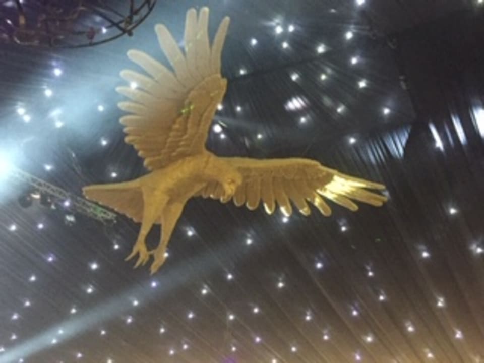 Ausblick Pickalbatros Citadel Resort