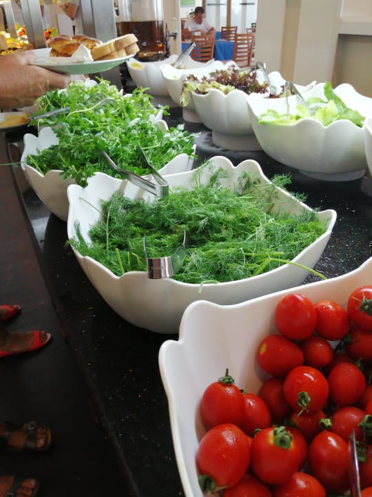 Gastro Hotel Ephesia