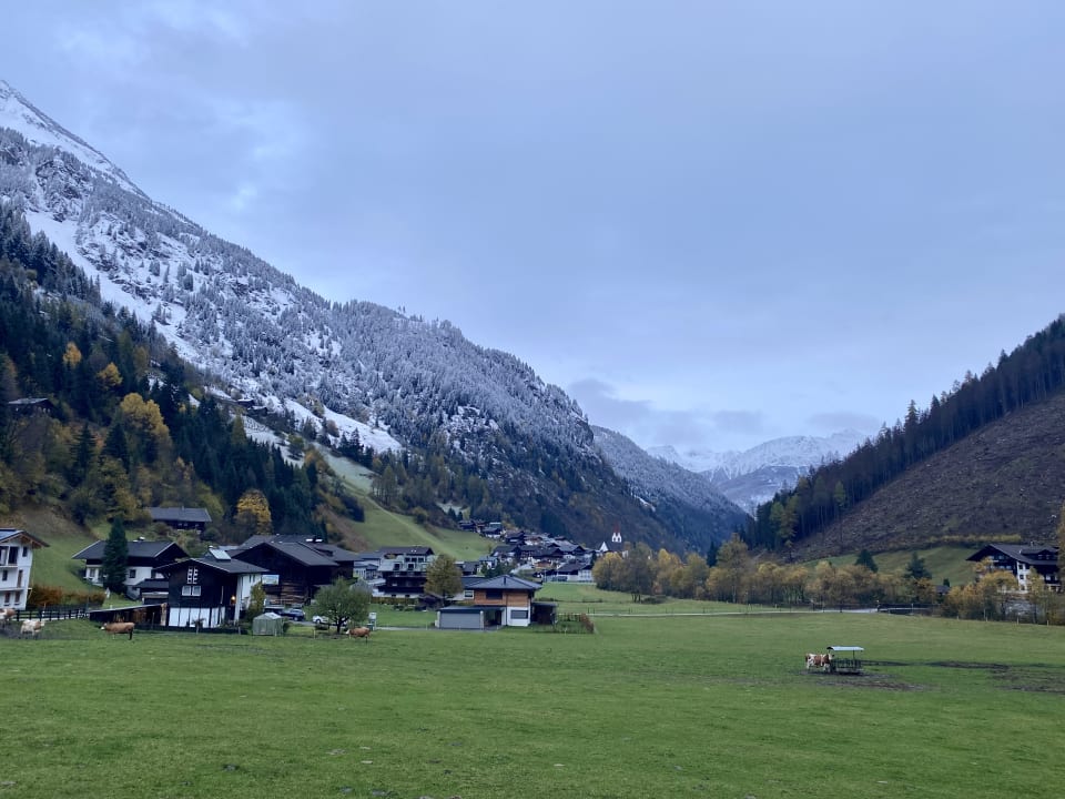 Ausblick Spa Hotel Zedern Klang
