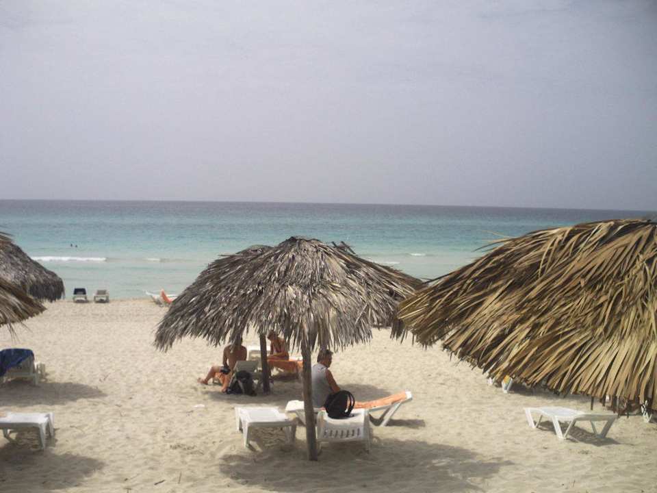 Strand Starfish Cuatro Palmas