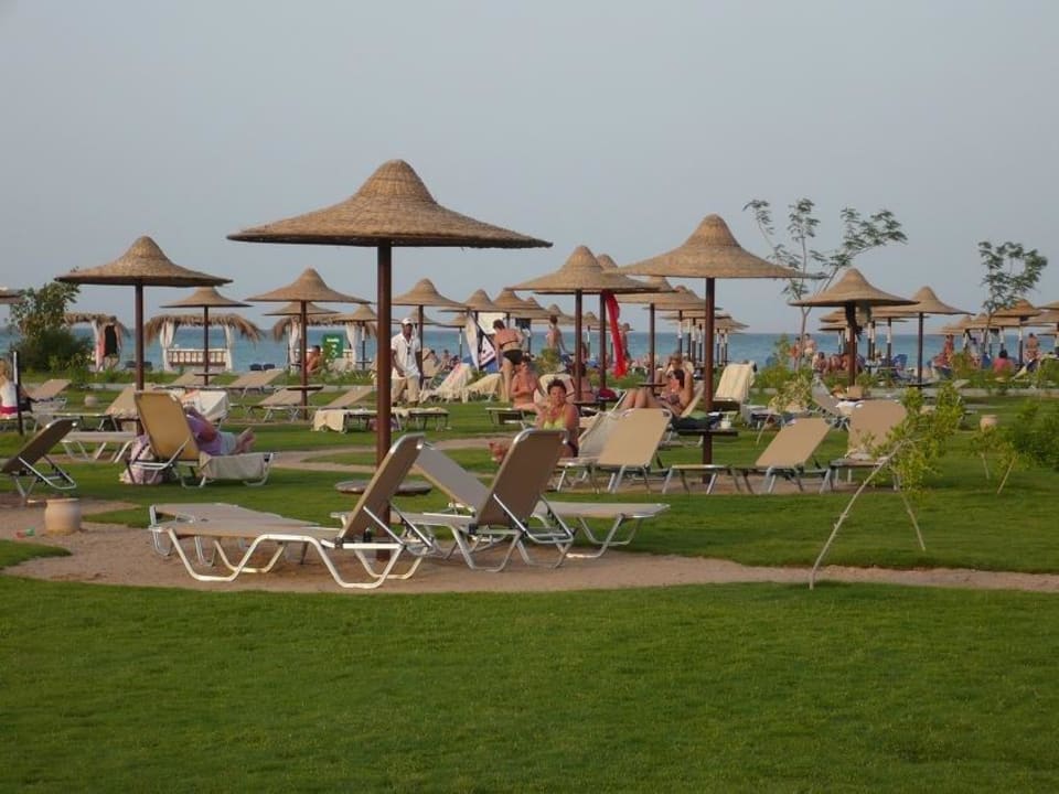 Plaża przy hotelu z widokiem na Morze Czerwone JAZ Aquamarine Resort
