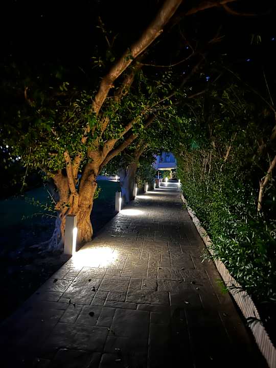 Gartenanlage Atlantica Aegean Blue