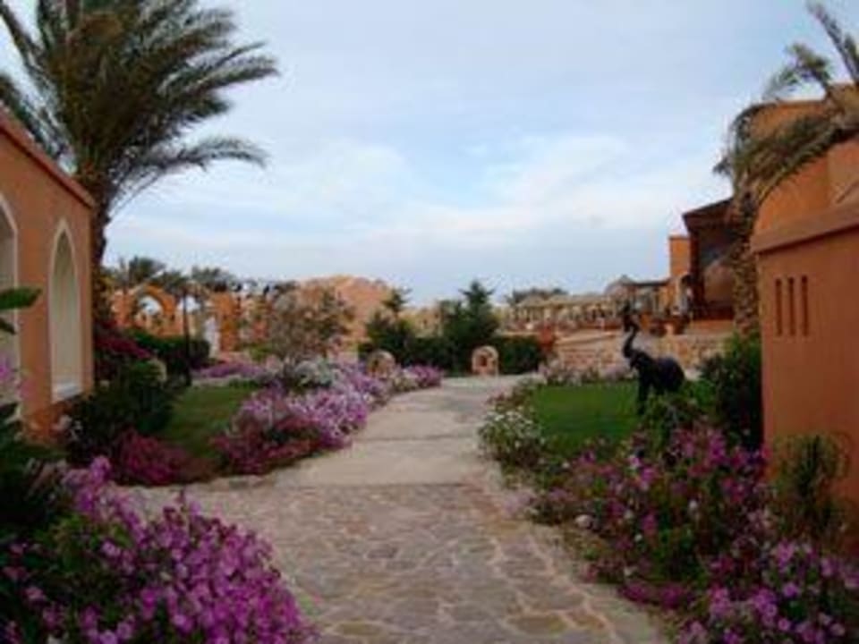 blumig und ordentlich Radisson Blu Resort, El Quseir