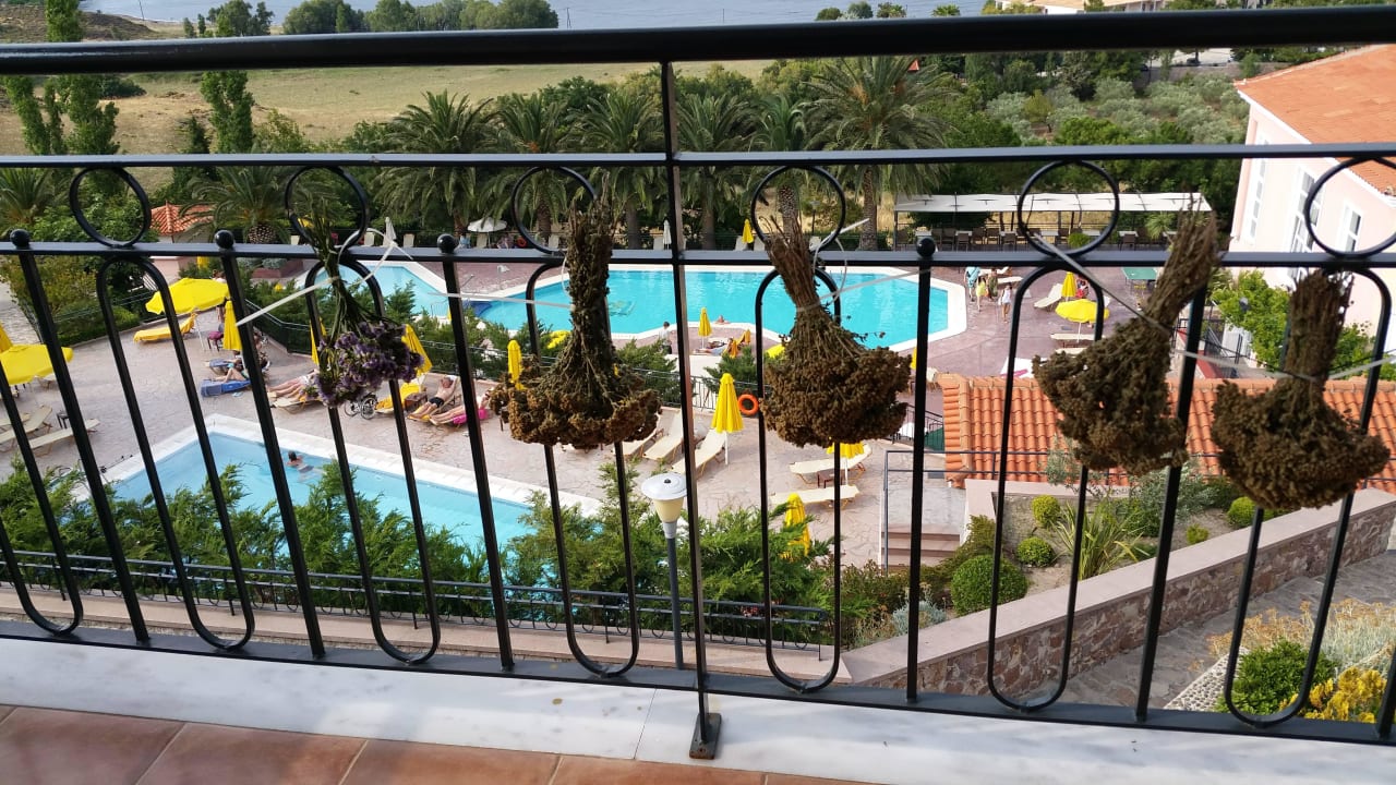 Origano trocknet am Balkon Hotel Sunrise Resort