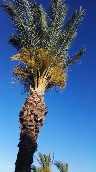 Sonstiges Rodos Princess Beach Hotel & Spa