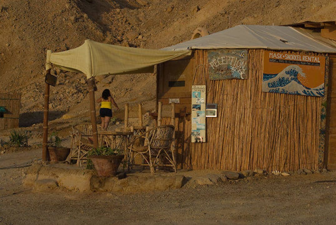 Die Rezeption RockSea Camp