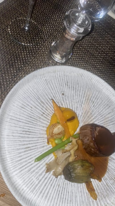 Gastro Acanthus Cennet Barut Collection