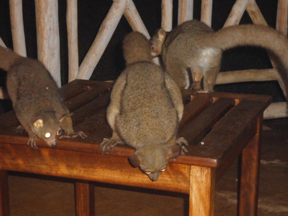 Besuch Neptune Palm Beach Boutique Resort & Spa