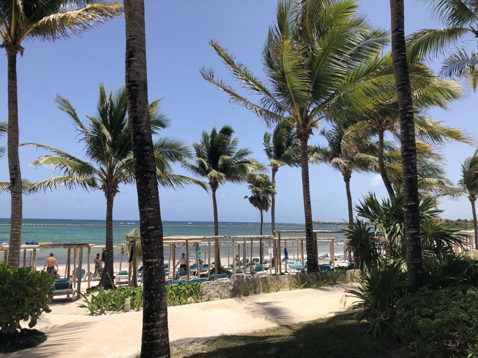 Strand Akumal Bay Beach & Wellness Resort