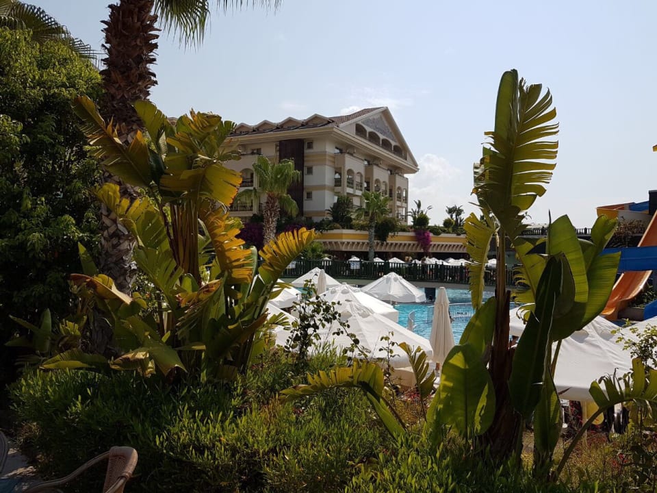 Pool Diamond Excellence Resort & Spa