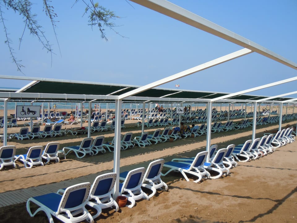 Jede Menge Plätze ohne zu reservieren Alba Resort Hotel