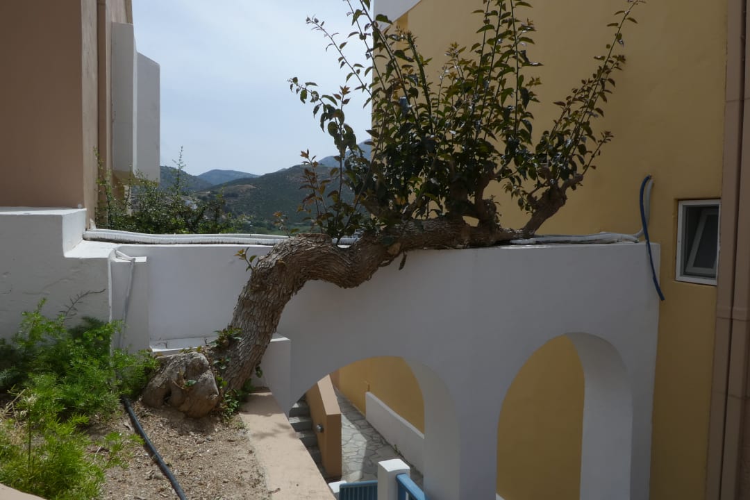 Sonstiges Fodele Beach & Water Park Holiday Resort