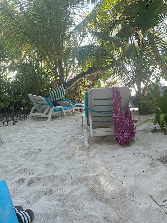 Strand Fihalhohi Maldives