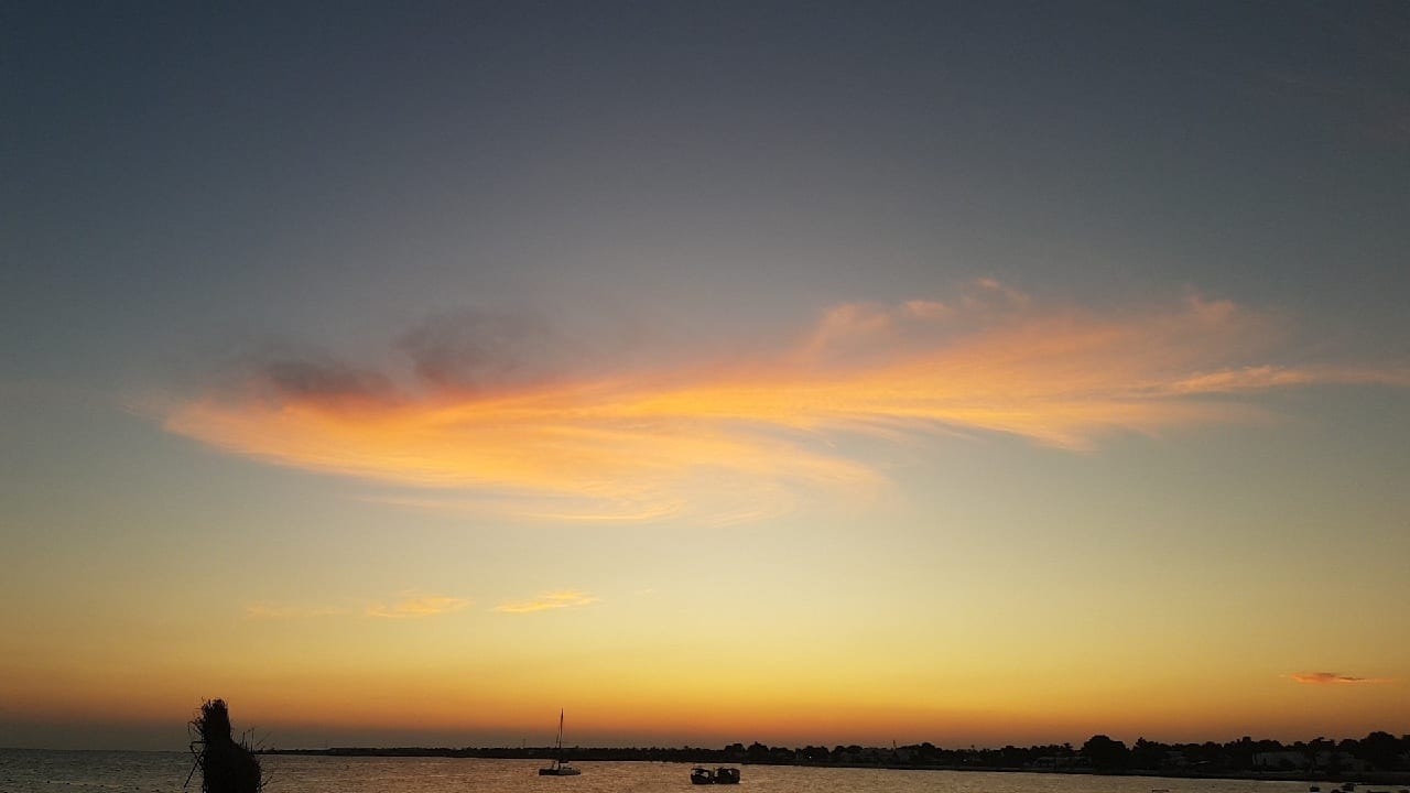 Ausblick Hotel El Mouradi Djerba Menzel