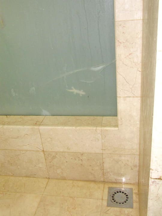 Risse in der Scheibe Hotel Village du Pecheur