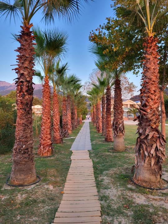 Gartenanlage Alexandra Golden Boutique - Adults only