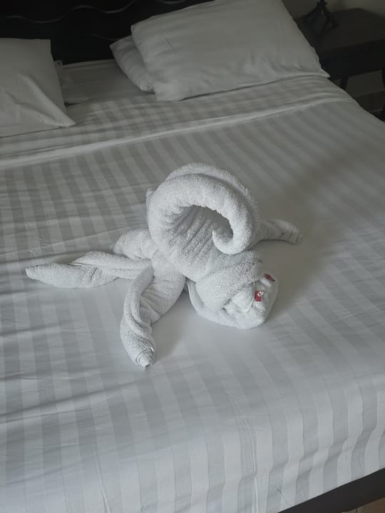 Zimmer Hotel Three Corners Ocean View prestige - Adults only