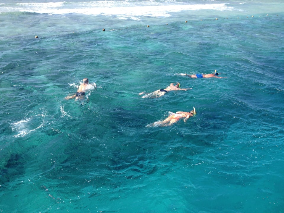 Looking fish in Red Sea Hotel Titanic Palace