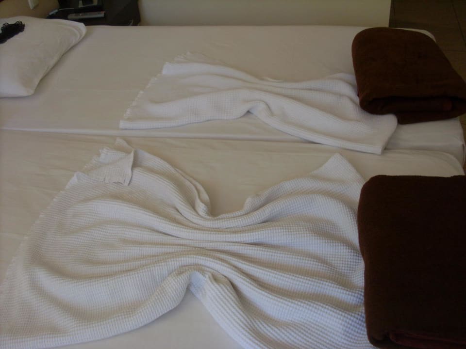 Betten Hotel Orfeus Park