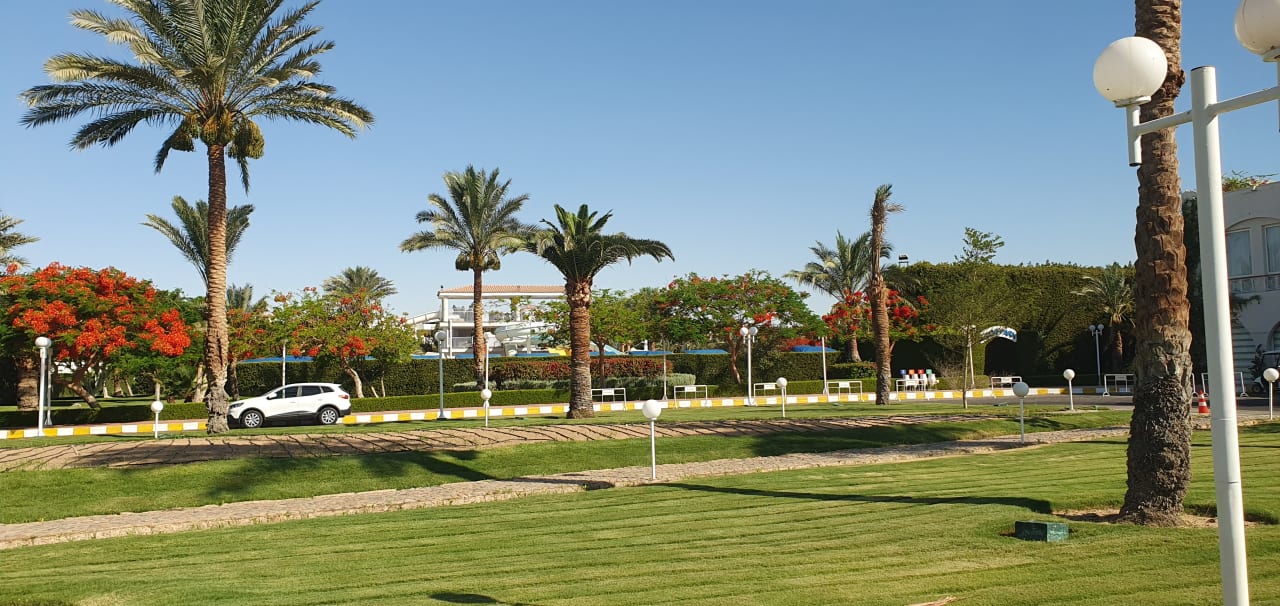 Gartenanlage JAZ Aquamarine Resort