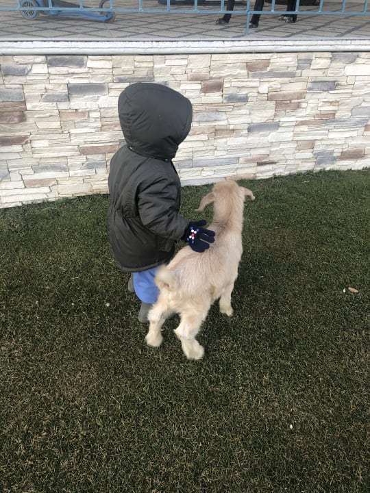 Sonstiges Acrotel Sofia's Guesthouse