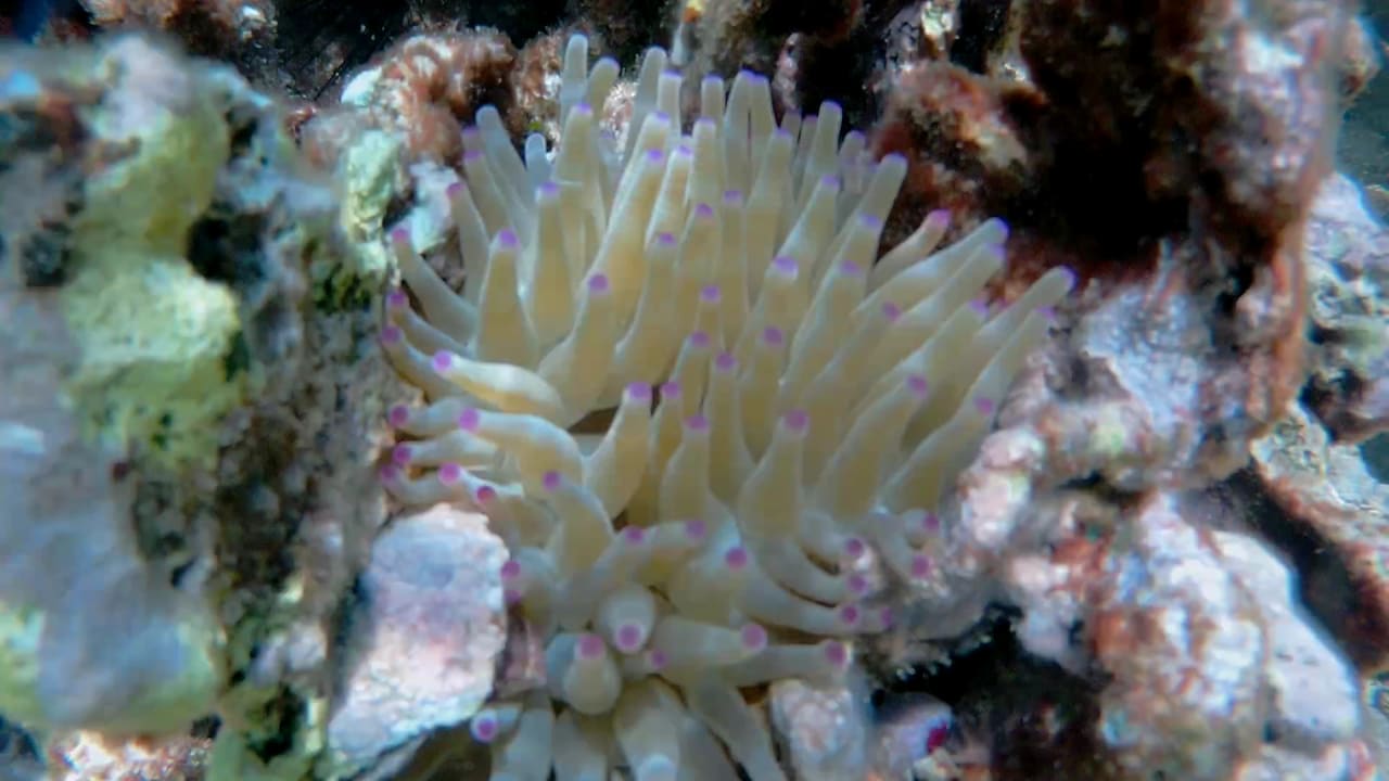 Sport & Freizeit Akumal Bay Beach & Wellness Resort