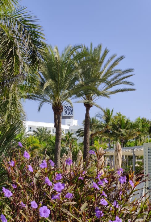 Gartenanlage Hotel Riu Palace Meloneras