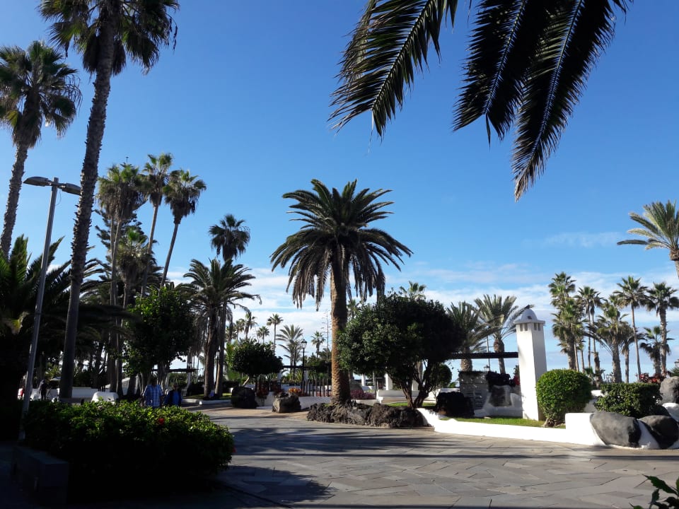 Garten H10 Tenerife Playa