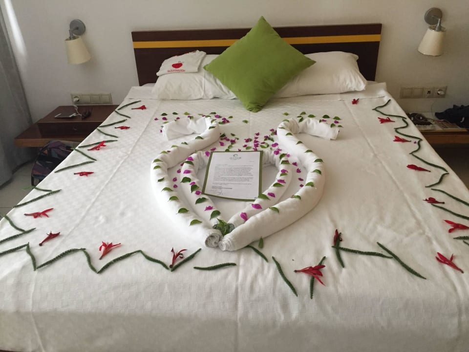 Ankunft Monachus Family Resort Sorgun