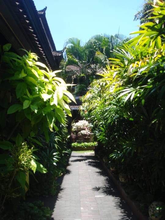 Garden Hotel Ari Putri