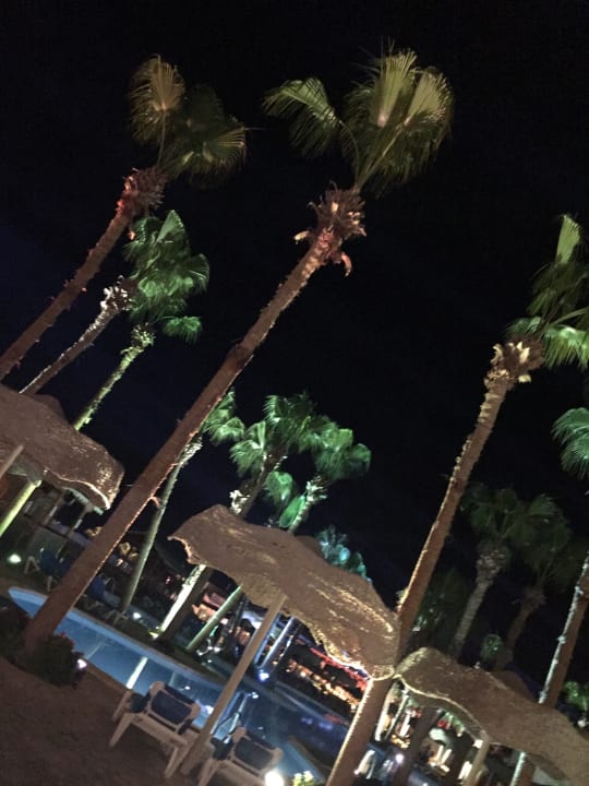 Pool Pickalbatros Citadel Resort