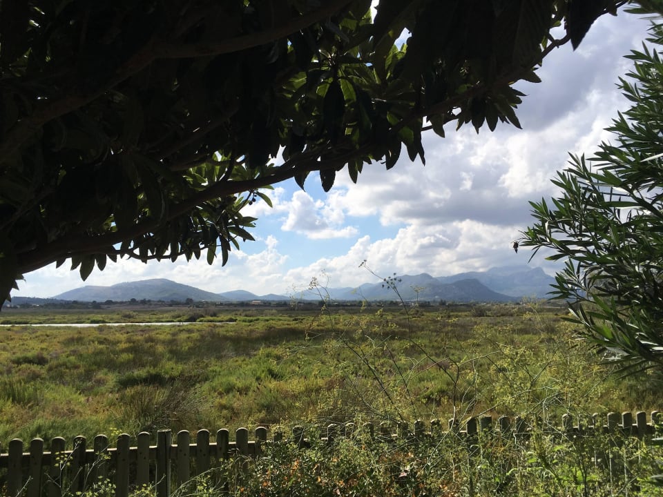 PortBlue Club Pollentia Resort PortBlue Club Pollentia Resort & Spa