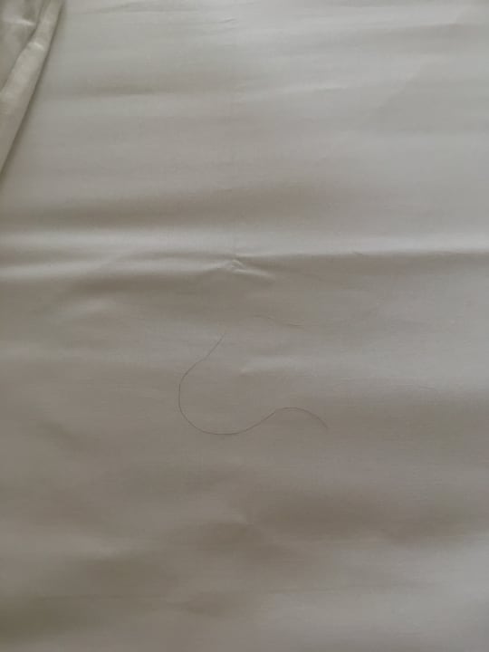 Zimmer Moselstern Hotel Brixiade & Triton