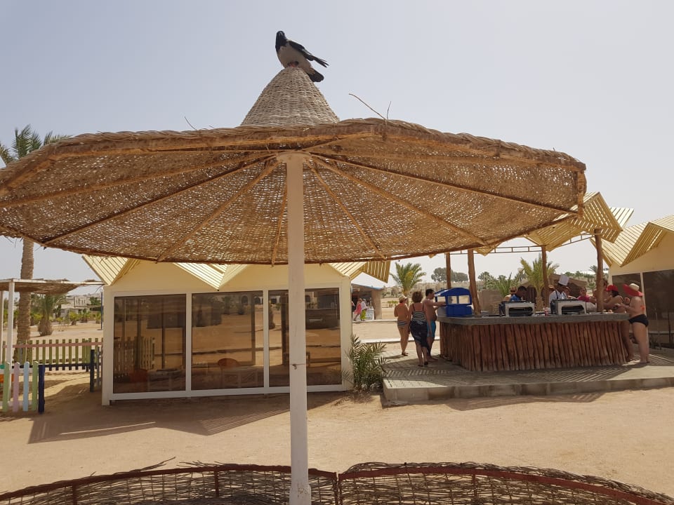 Strand Coral Beach Hurghada