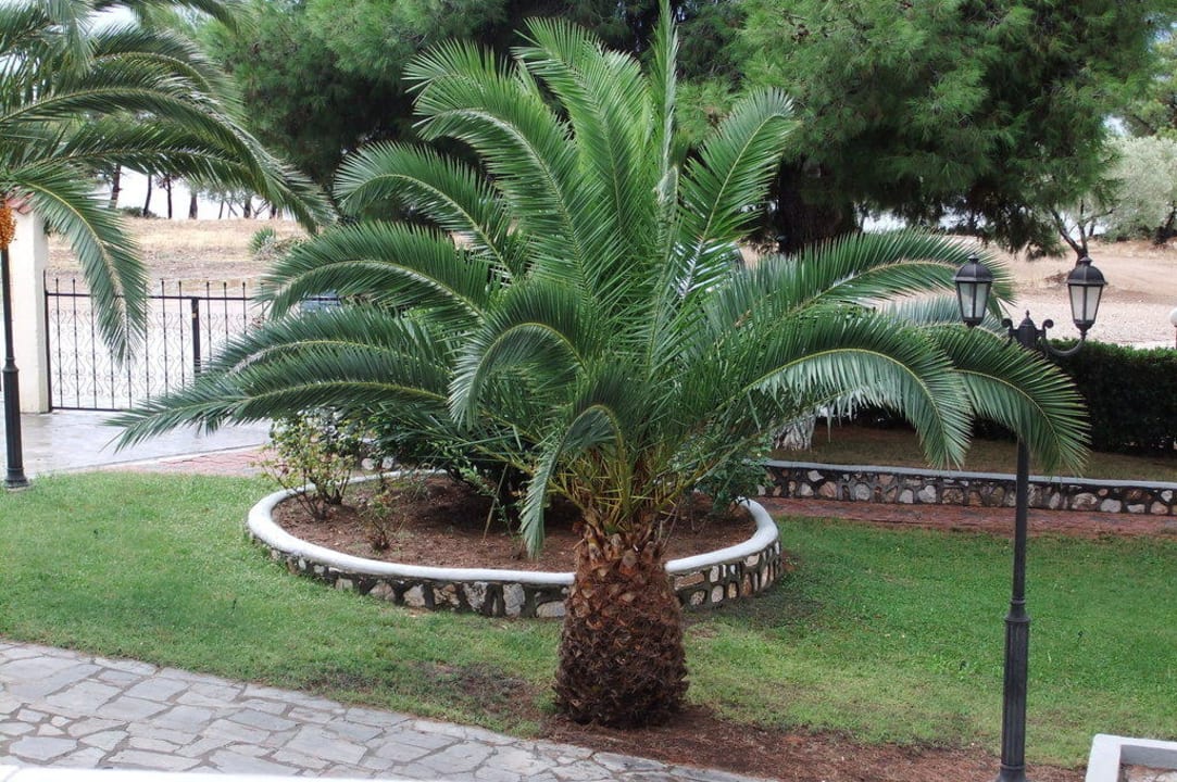 Palme Blue Dolphin Resort Hotel