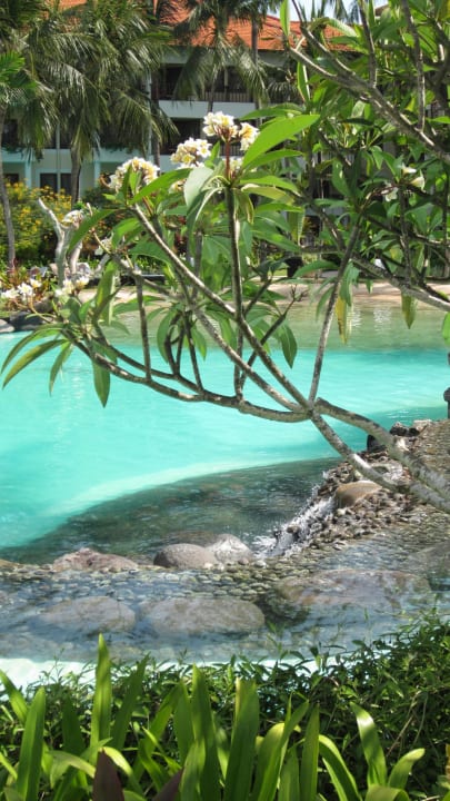 Blick zum Pool The Laguna A Luxury Collection Resort & Spa