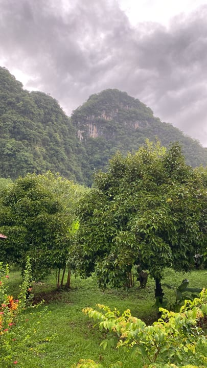 Gartenanlage Monkey Mansion Jungalows and Tours