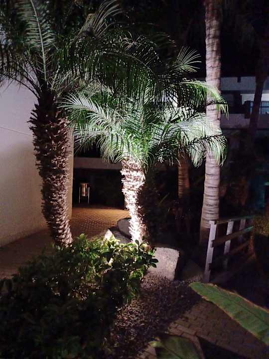 Gartenanlage R2 Romantic Fantasia Suites - Adults only