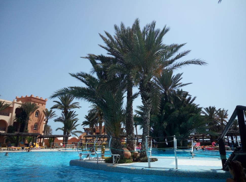 Pool Vincci Safira Palms