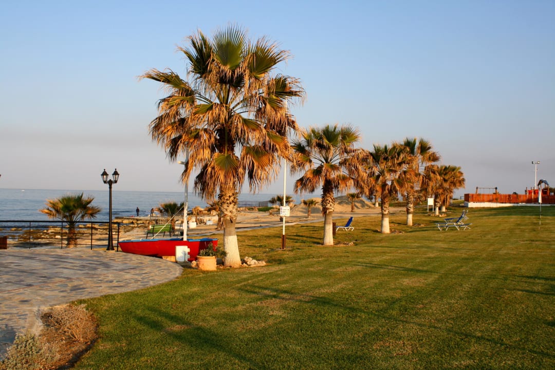 Palmen im Morgenlicht Kefalos Beach Holiday Village