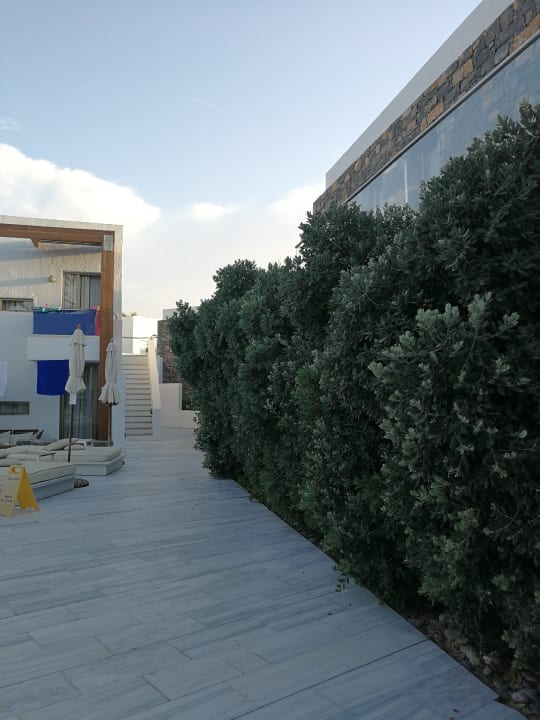 Gartenanlage The Island Hotel