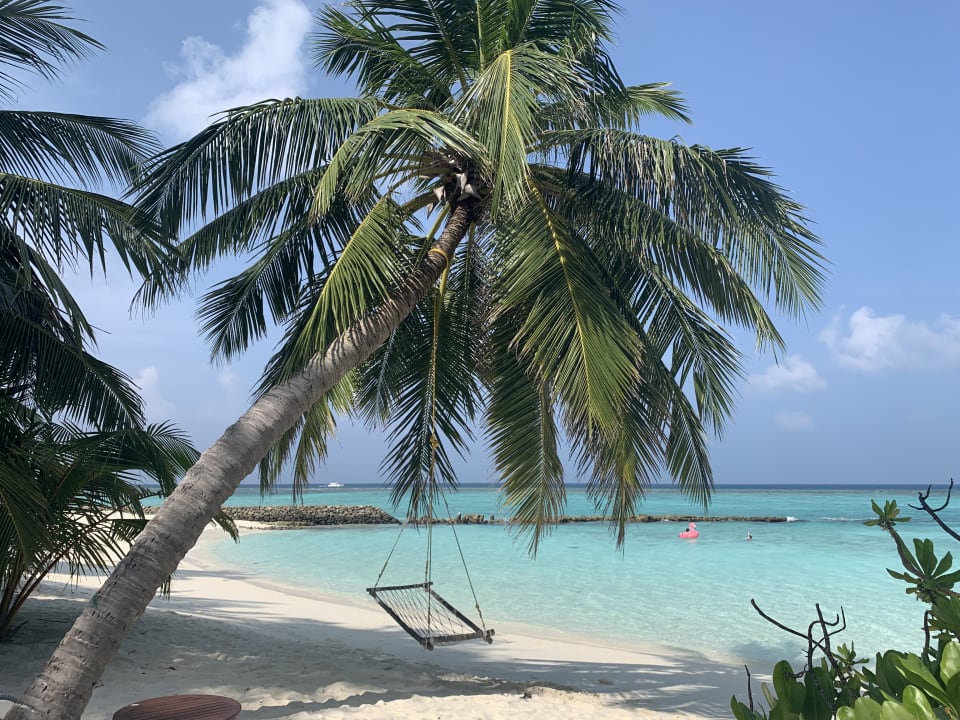 Strand Summer Island Maldives