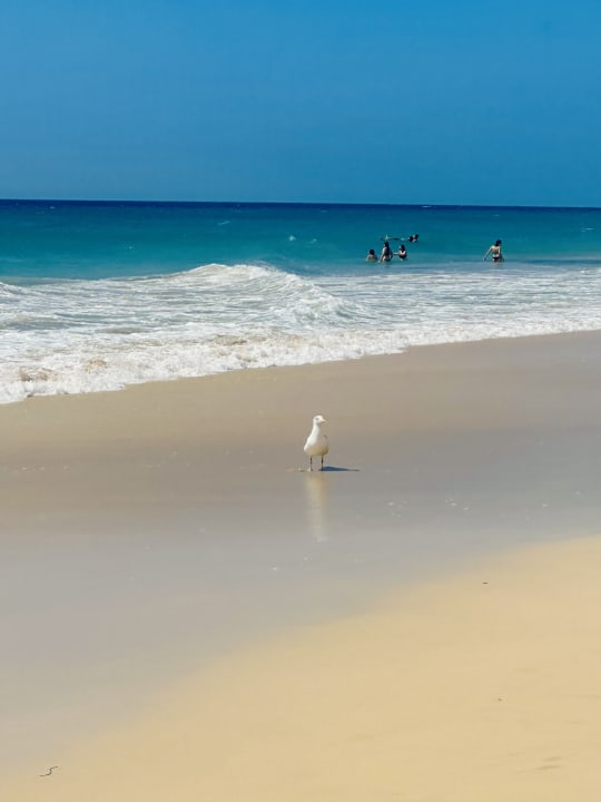 Strand allsun App.-Hotel Esquinzo Beach