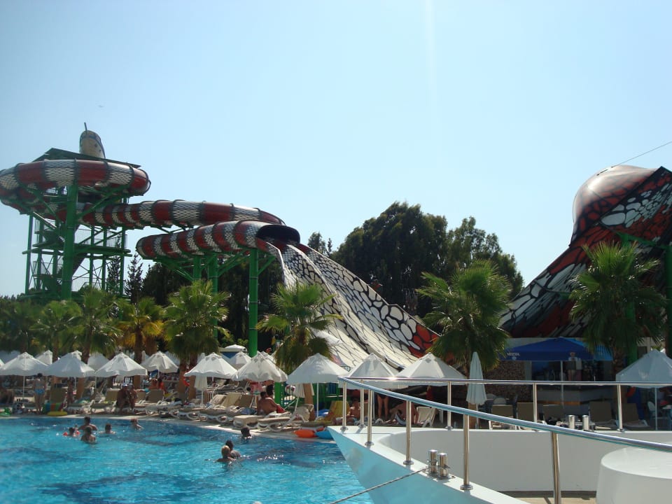 "King Kobra" Crystal Sunset Pearl Collection