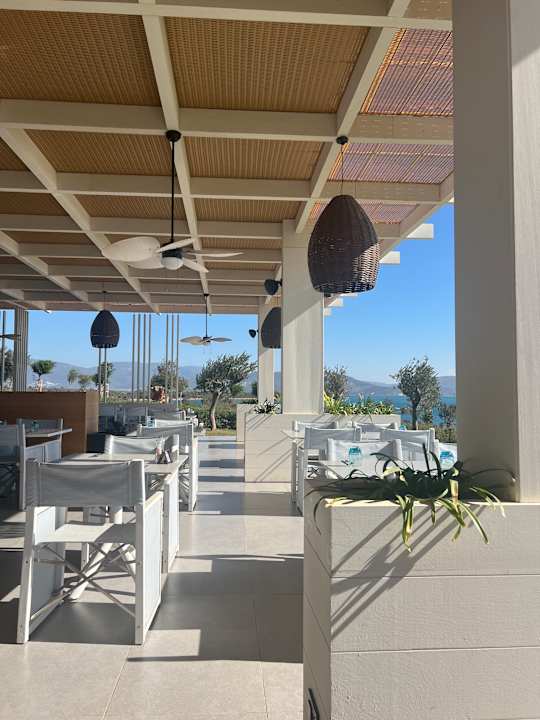 Gastro Anda Barut Collection