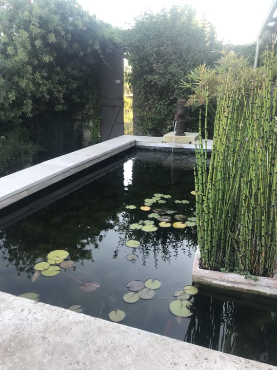 Gartenanlage Abacard Home Chambres d'Hôte