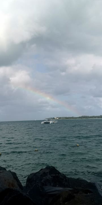 Ausblick Lagoon Attitude - Adults only