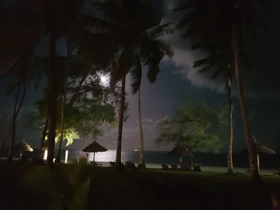 Ausblick Hotel Diani Sea Lodge
